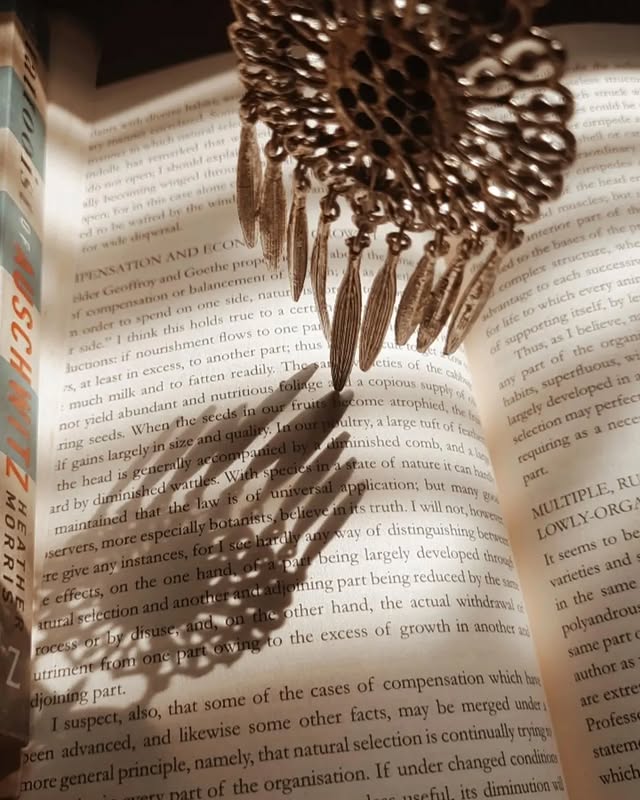 How Pranjali Shome Combines Her Passion for Teaching and Reading
